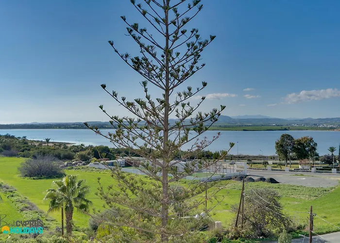 Majestic Sunset Salt Views 300m From Lägenhet *